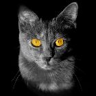 Claudiu