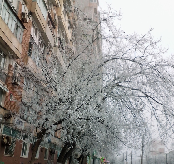 Neska. Guapa. 45 Ani. Galați. - 3