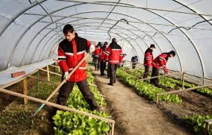 Agricultura este ușoară pentru tine - 3
