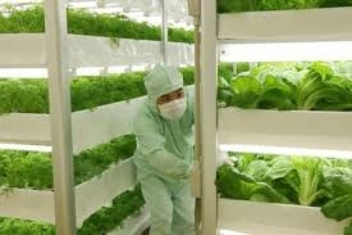 Agricultura este ușoară pentru tine - 4