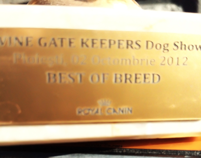 Cupe competitie canina International Level - 2