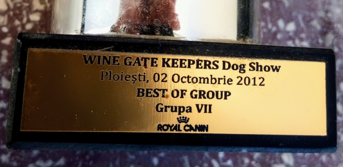 Cupe competitie canina International Level - 3