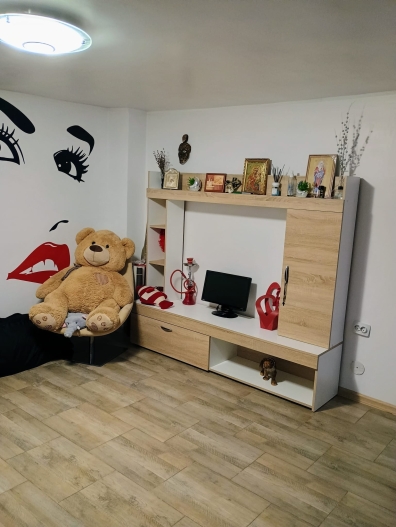 Se oferă spre închiriere casă in zona Baneasa sector 1 - 2