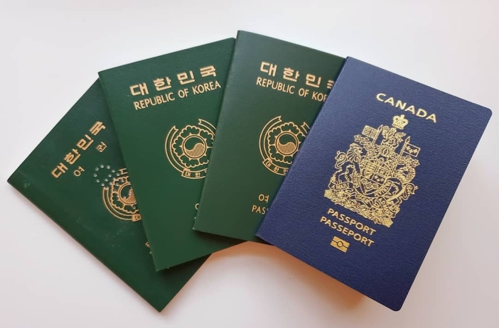 Registered passport ID card, driving license, visa, - 1
