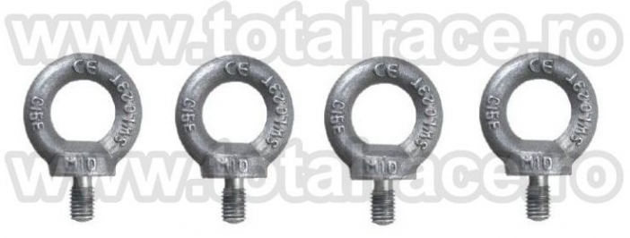 Inel de ridicat cu filet exterior DIN 580 - 1