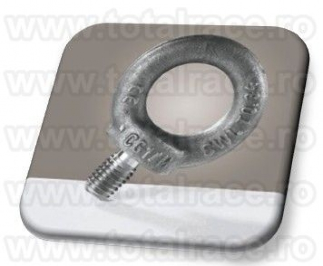 Inel de ridicat cu filet exterior DIN 580 - 3