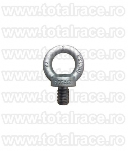 Inel de ridicat cu filet exterior DIN 580 - 5