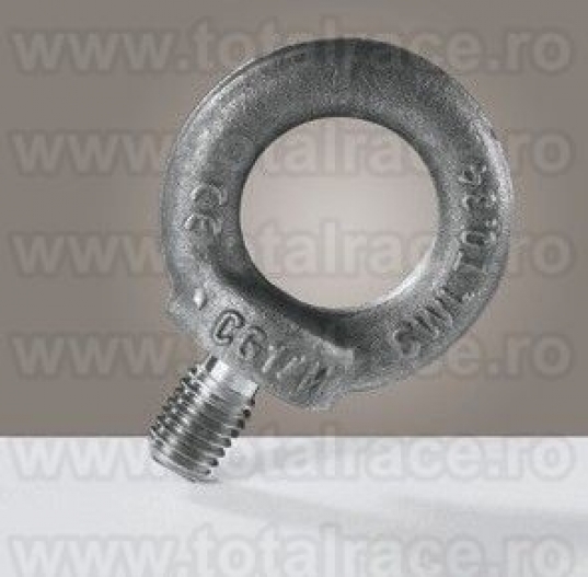 DIN 580 - Inel de ridicare M12 - 3